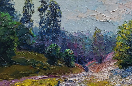 Original Oil Painting Summer Landscape Nature Wildflowers Are Growing – Paintings & Drawings, Canvas (photo 4 of 7)