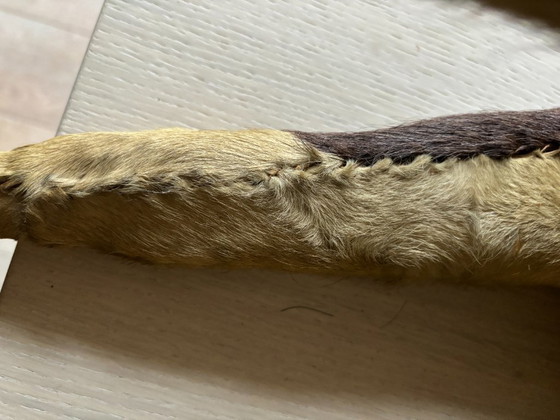 Antiek speelgoedpaard op wielen (Engeland, ca. 1880) – Decoratieve objecten, Wood (photo 6 of 10)
