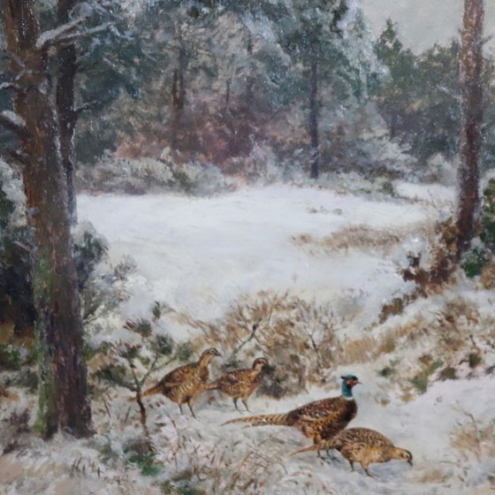 Image 1 of Pheasants in the Snow, Oil Painting on Board, Signed Wilhelm Buddenberg