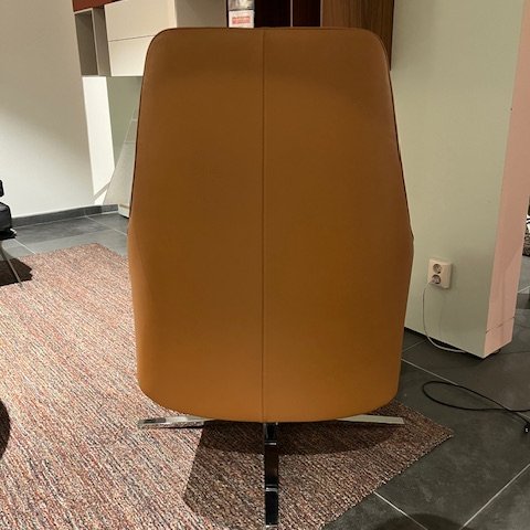 Image 1 of de Sede DS-0277/01 fauteuil