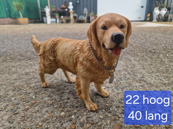 Image 1 of Magnifique golden retriever en polystone