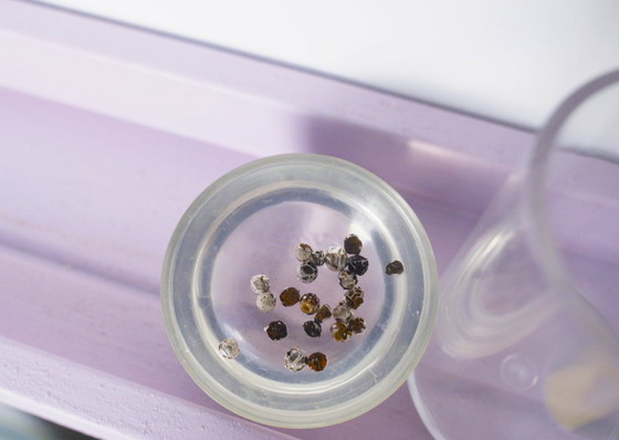 Image 1 of French Plexiglas Vintage Spice Container Jars – Set of 6 Preserved Herb Cylinders