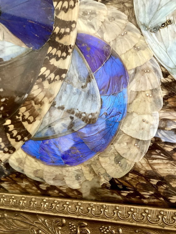 Image 1 of Composizione astratta incorniciata a forma di ali di farfalla