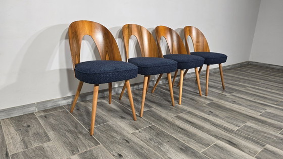 Image 1 of Esstischstühle von Antonin Suman