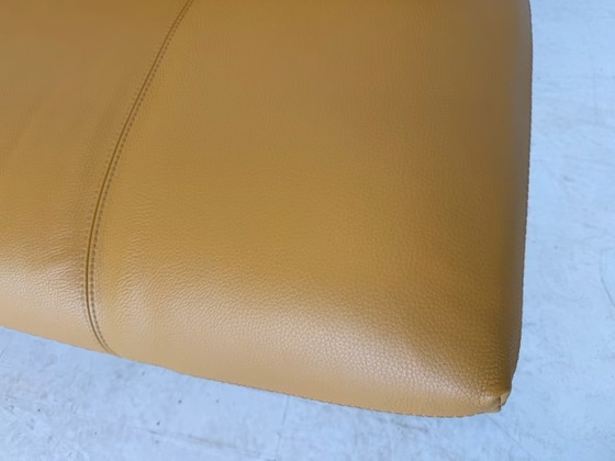 Leolux Tango Divano in Pelle Design Classico – Divani, Metallo (photo 9 of 17)