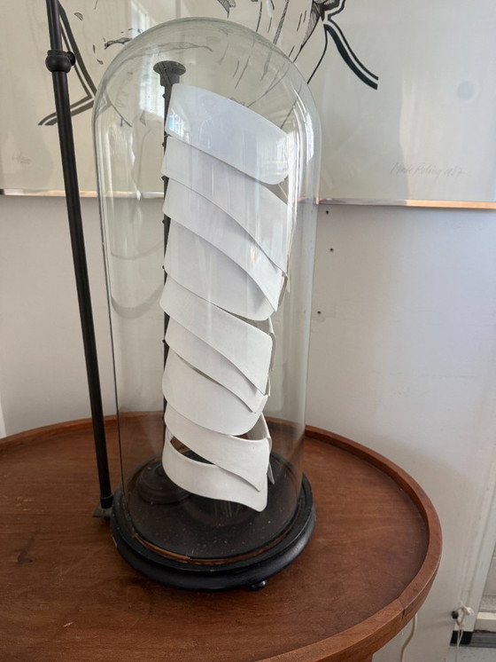 Image 1 of Antique Collar display