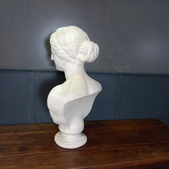 Image 1 of Busto excepcionalmente grande de tamaño natural de la Venus de Milo, busto grande de yeso