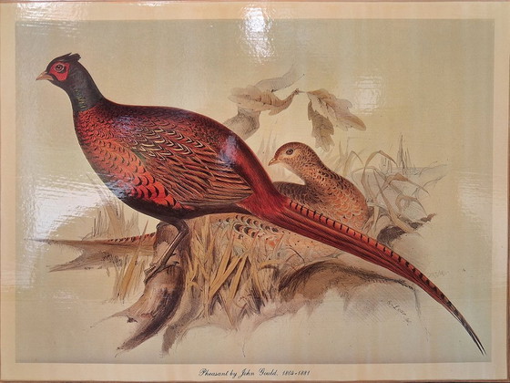 Image 1 of Bandeja de lectura de faisán de la regencia