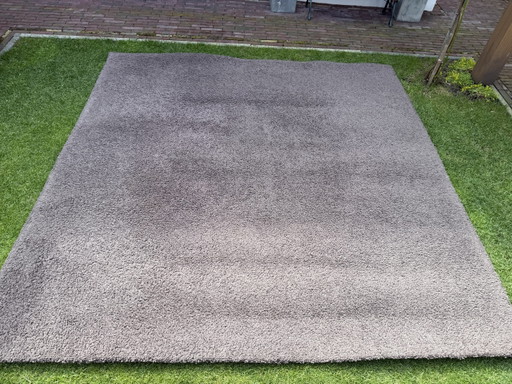 Alfombra de 240x240cm, color Lana.