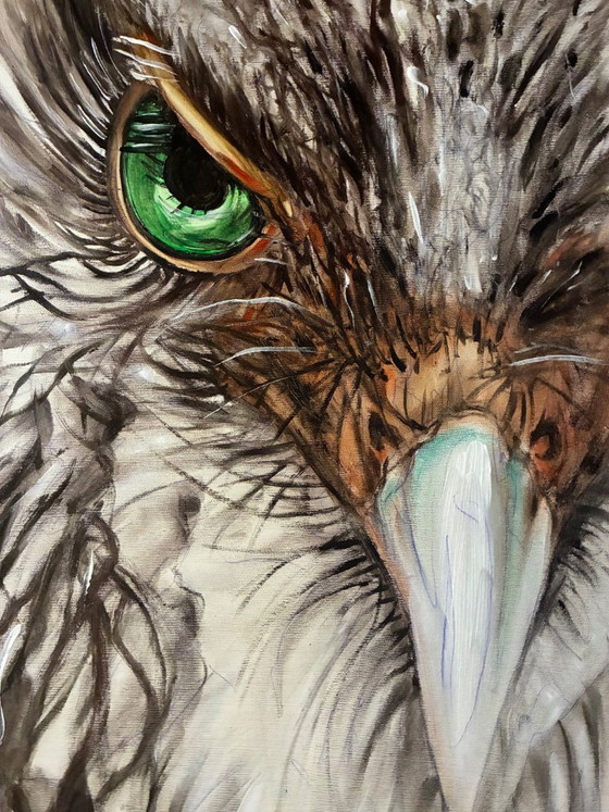 Image 1 of Walter Geraci - Freedom