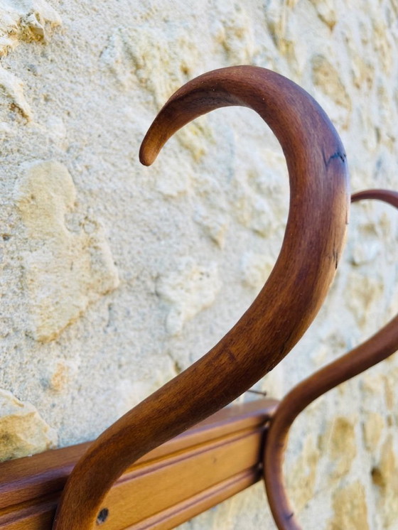 Image 1 of Bugholz, Wandhalterung, Garderobe und Hutständer von Japy Frères, ca. 20er/30er Jahre