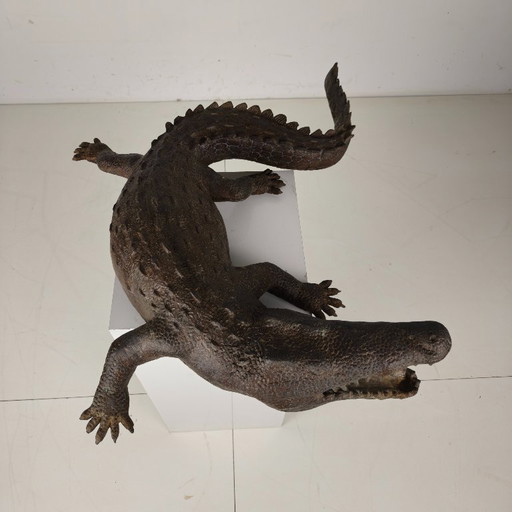Monumental bronze crocodile sculpture from the 20th century