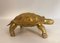 Brass Turtle Sculpture – beeldhouwkunst