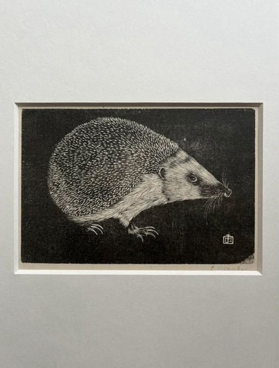 Image 1 of Jan Mankes 1889-1920 / Original Heliogravüre Igel 1923