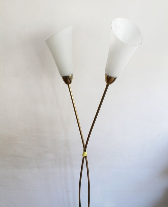 Image 1 of Organic Mid-Century Modern Floor Lamp in Brass and Milk Glass, Czechoslovakia