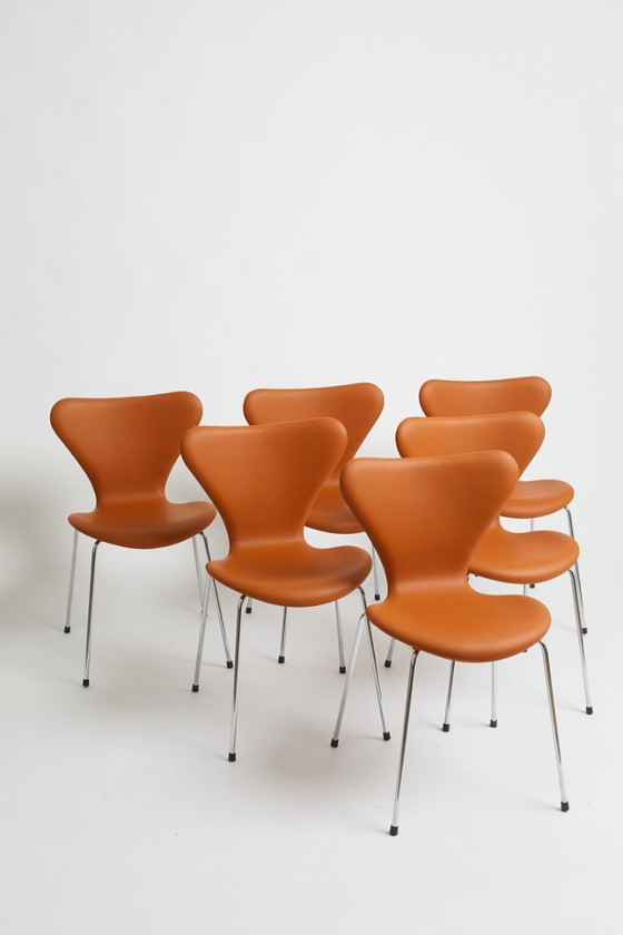 Image 1 of Arne Jacobsen sevnes in pelle color cognac