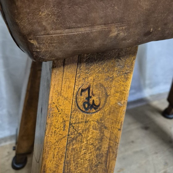 Image 1 of Vintage turnpaard, Tsjecho-Slowakije, jaren 60