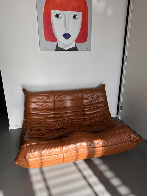 Togo Ligne Roset Cuir Cognac