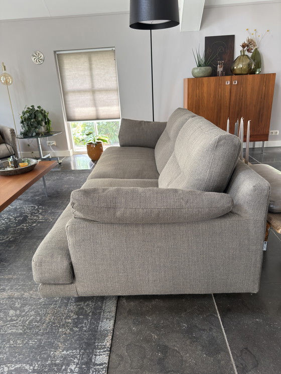 Image 1 of Linteloo ‘George’ 3.5 Zits Bank