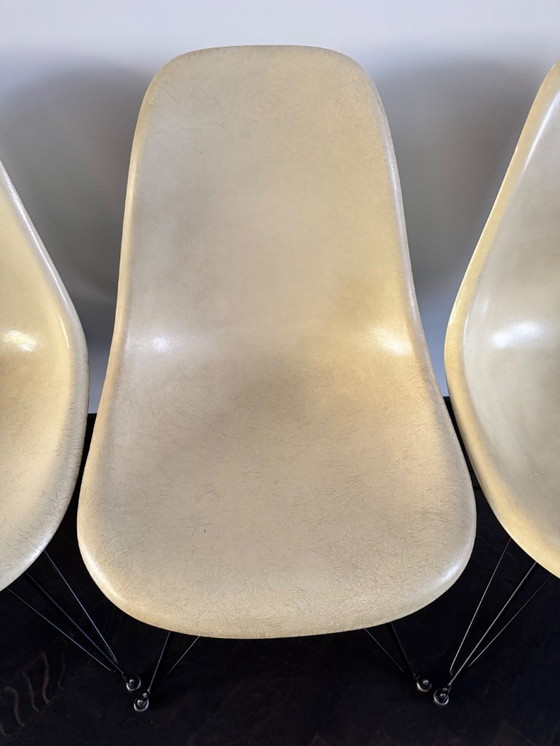 Image 1 of Herman Miller Fiberglas-Esszimmerstuhl DSR