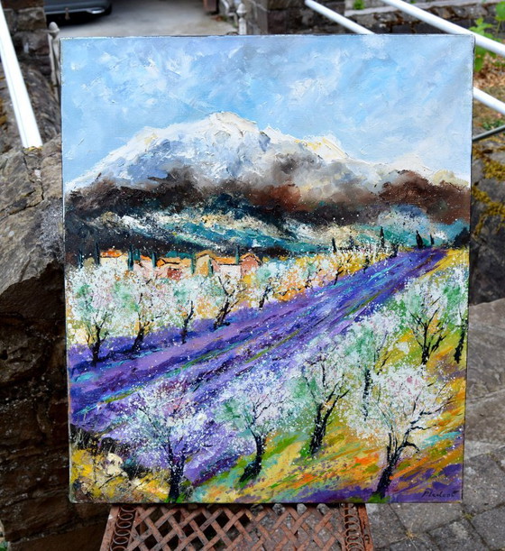 Mandelbäume im Frühling in der Provence – Gemälde & Zeichnungen, Canvas (photo 6 of 11)