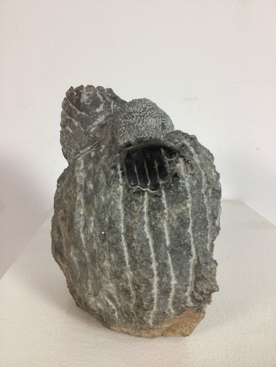 Image 1 of Œuvre d'art Colleen Madamombe Zimbabwe 1964 - 2009