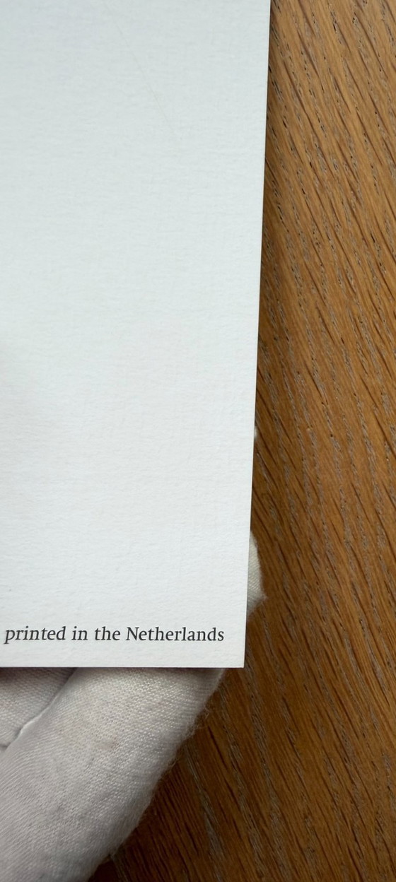 Image 1 of Domenico Gnoli (1933-1970), Gestreepte broek, 1969, copyright Marzia Gnoli, 1994, Gedrukt in Nederland
