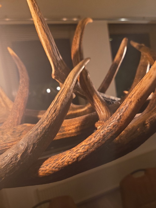 Unique Large Pendant Lamp, Real Deer Antler – hanglampen, Other, Metal (photo 2 of 3)