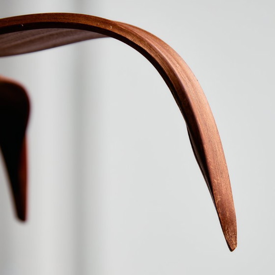 Image 1 of MK10772 Araña de hojas de coco