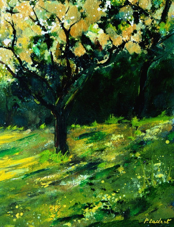 Image 1 of Orchard in spring