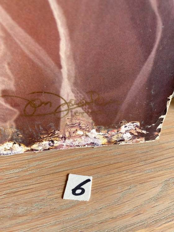 Image 1 of 1 collezione di 7 foto