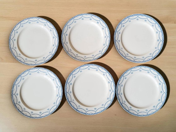 6 platos de loza inglesa "Cheltenham" — F. Winkle & Co – Porcelain, Art Nouveau (photo 2 of 8)