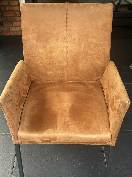 Sei lussuose sedie da pranzo color cognac