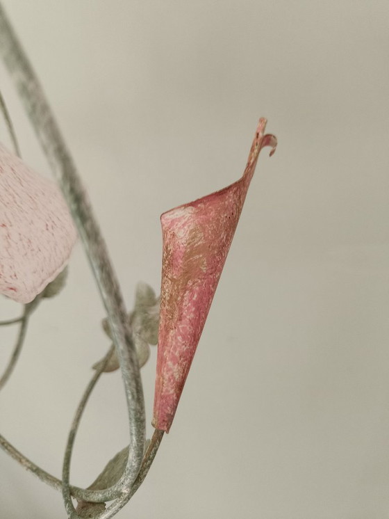 Image 1 of Lampadario in ferro battuto con tulipano in vetro di granito rosa
