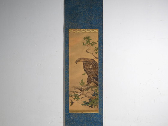 Antikes japanisches Kakejiku eines Raubvogels in Farbe auf Papier – Japan, circa 1900 – Gemälde & Zeichnungen (photo 2 of 40)