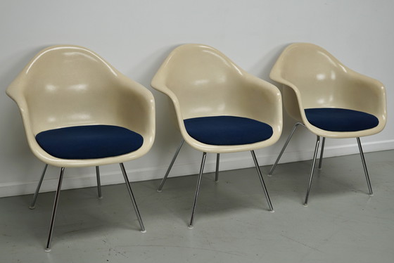 Image 1 of Ensemble de trois fauteuils DAX en fibre de verre parchemin Eames pour Herman Miller / Vitra
