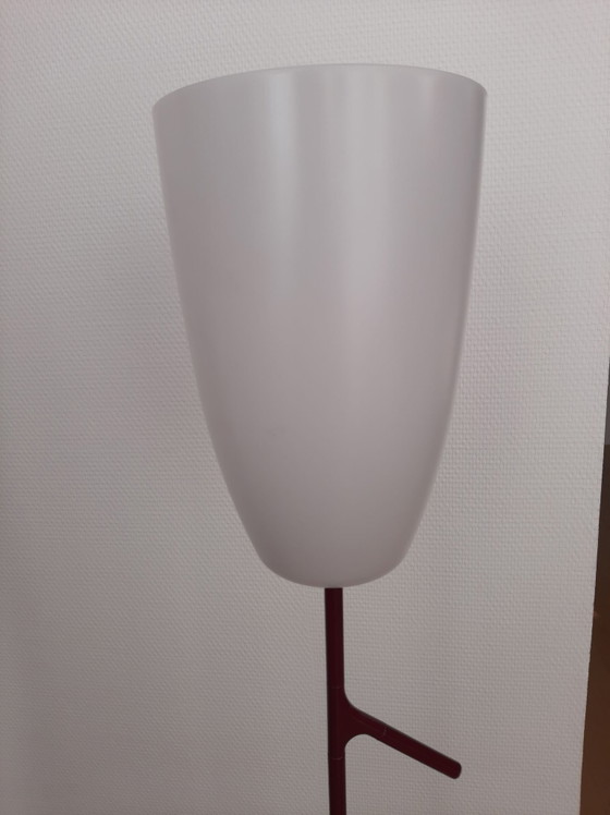 Foscarini Birdie Dimmer Lettura, rosso scuro – Lampade da terra, Metallo, Plastica (photo 3 of 5)