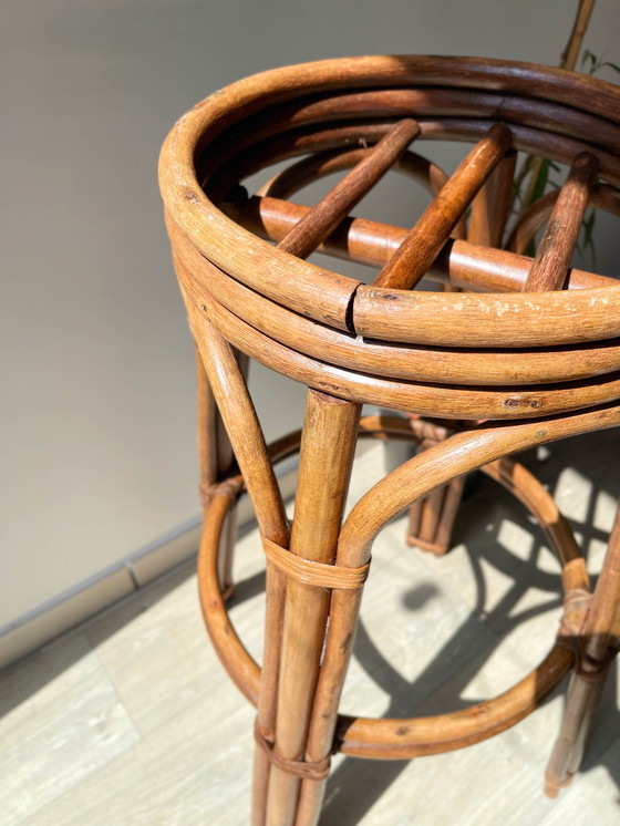 Image 1 of Sgabello da bar vintage in legno curvato, anni '50