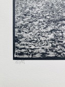 Ralph Janowski - Photo Print Trees - Large Format