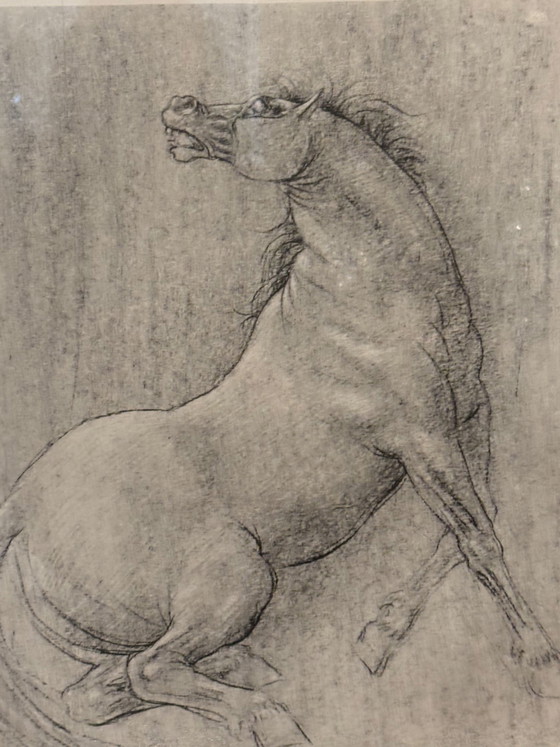 Francesco Messina Horse Lithograph, 1960s – Paintings & Drawings, Paper, Figuratief (photo 3 of 9)