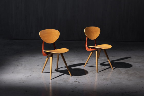 Image 1 of Mid Century Skulpturale Stühle von Stella, Frankreich, 1950er Jahre