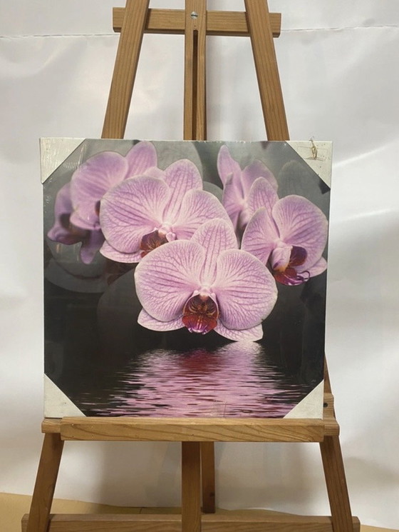 Image 1 of Elegante stampa murale Orchidea – 40 × 40 cm