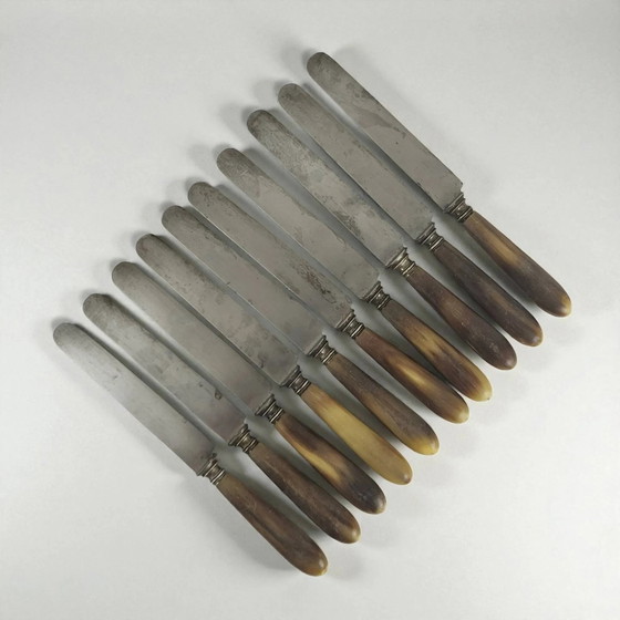 11 Coltelli Corno e Acciaio TD Paris – Set di posate, polished steel, Art Deco (photo 5 of 8)