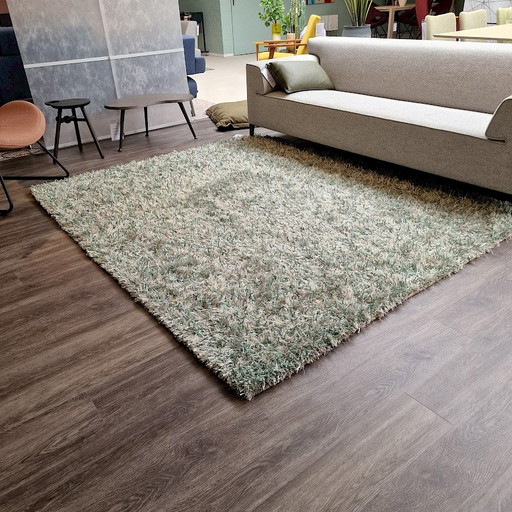 Brinker Carpets Trend 314 rug - 200x250