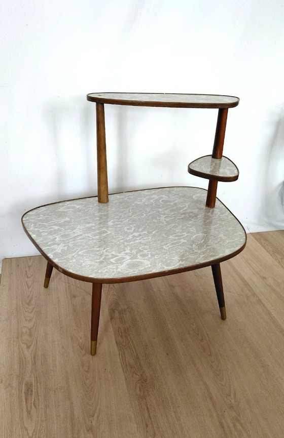 Image 1 of Gran mesa para plantas de los años 50