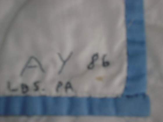 Image 1 of Handmade Amish Quilt (from 1986) - ‘Tree of life’ pattern