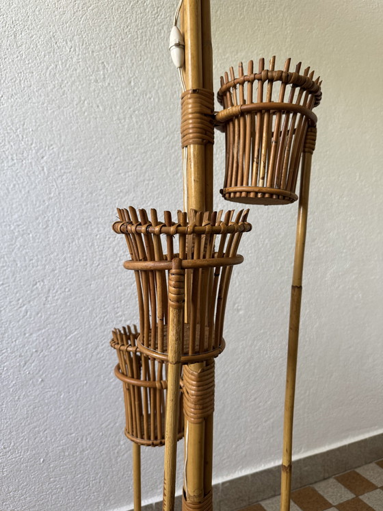 Image 1 of Lámpara de pie con soporte para plantas de ratán de los años 50