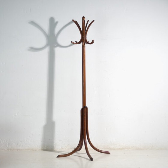 Bentwood Coat Stand in Beechwood – Austria-Hungary, Thonet Style, Circa 1900 – Coat racks, Metal (photo 7 of 36)