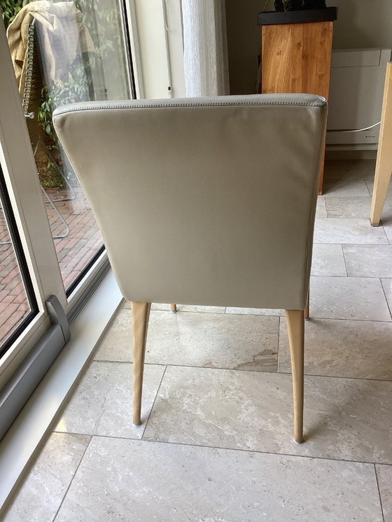 Image 1 of 6 chaises de salle à manger Rolf Benz création 2100