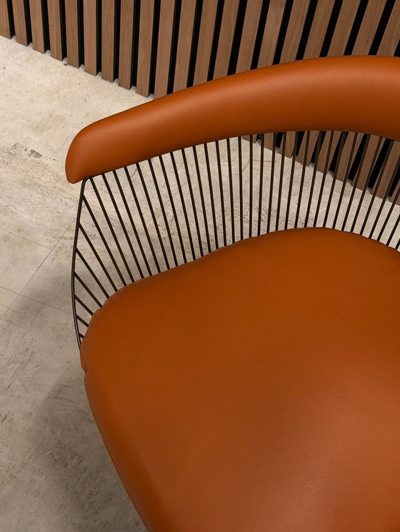 Image 1 of Sedia Knoll Warren Platner - Pelle Volo Cognac